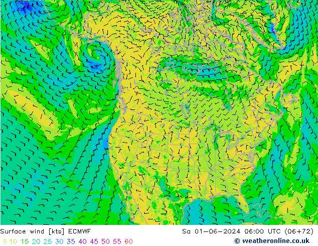 Viento 10 m ECMWF sáb 01.06.2024 06 UTC