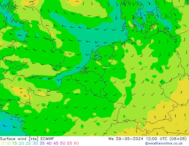 Surface wind ECMWF We 29.05.2024 12 UTC