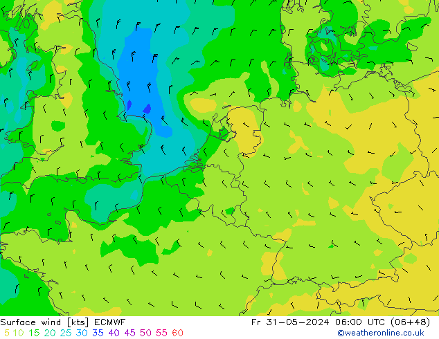 Bodenwind ECMWF Fr 31.05.2024 06 UTC