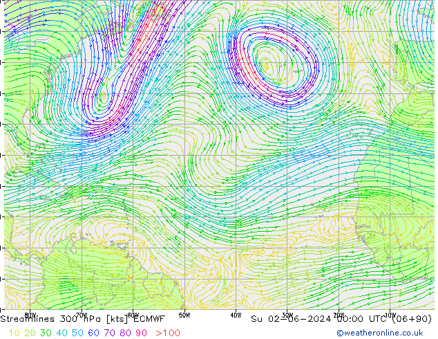 Ligne de courant 300 hPa ECMWF dim 02.06.2024 00 UTC