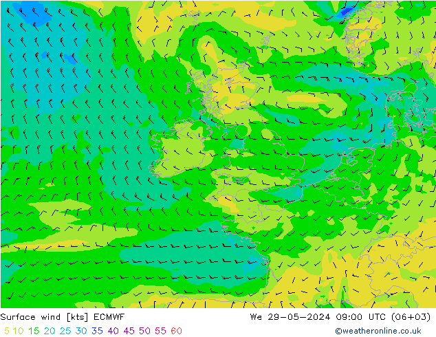 Wind 10 m ECMWF wo 29.05.2024 09 UTC