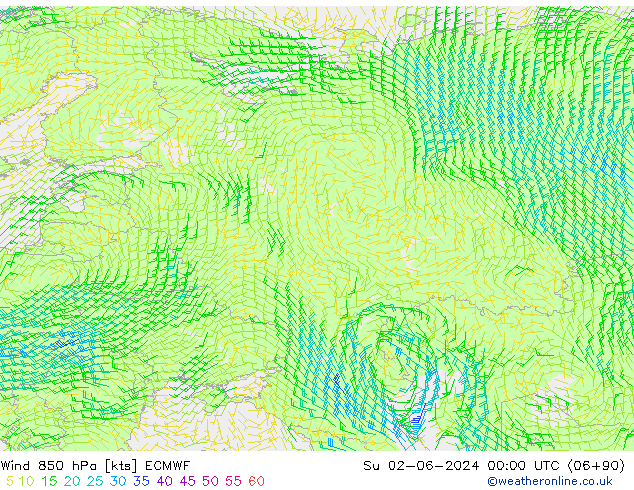 Vent 850 hPa ECMWF dim 02.06.2024 00 UTC