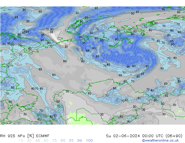 Humedad rel. 925hPa ECMWF dom 02.06.2024 00 UTC