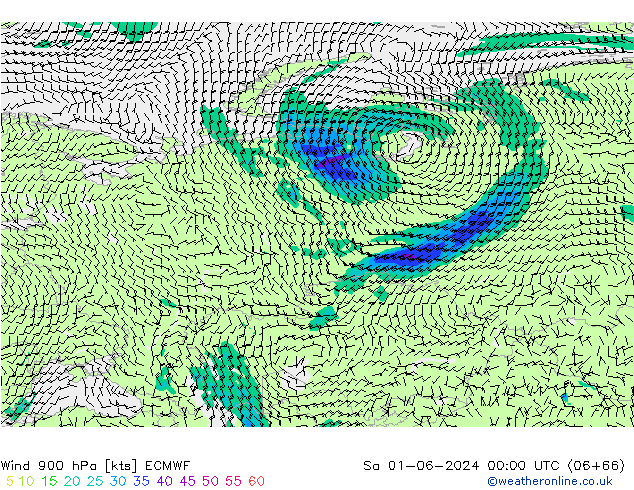 Vento 900 hPa ECMWF sab 01.06.2024 00 UTC