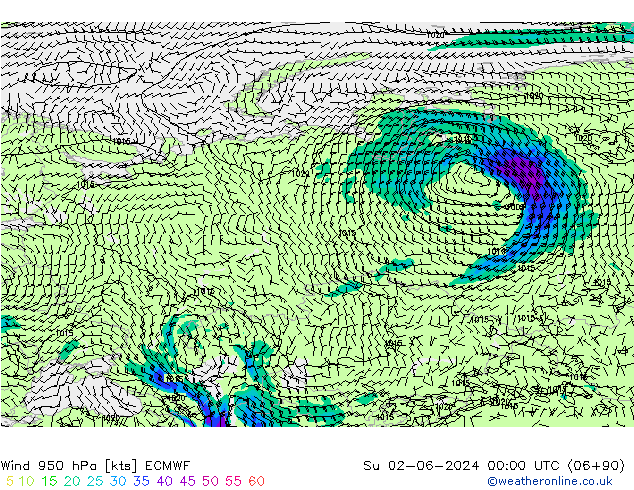 Vent 950 hPa ECMWF dim 02.06.2024 00 UTC