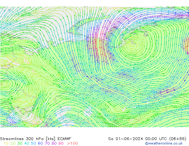 Linea di flusso 300 hPa ECMWF sab 01.06.2024 00 UTC