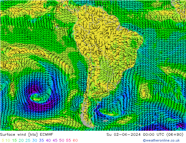 Vento 10 m ECMWF Dom 02.06.2024 00 UTC