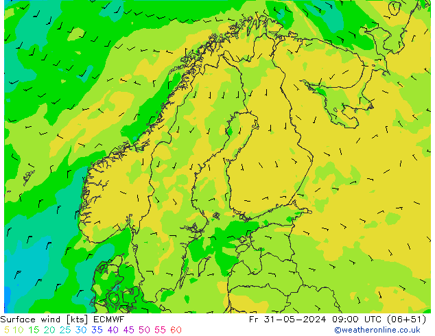 Surface wind ECMWF Fr 31.05.2024 09 UTC