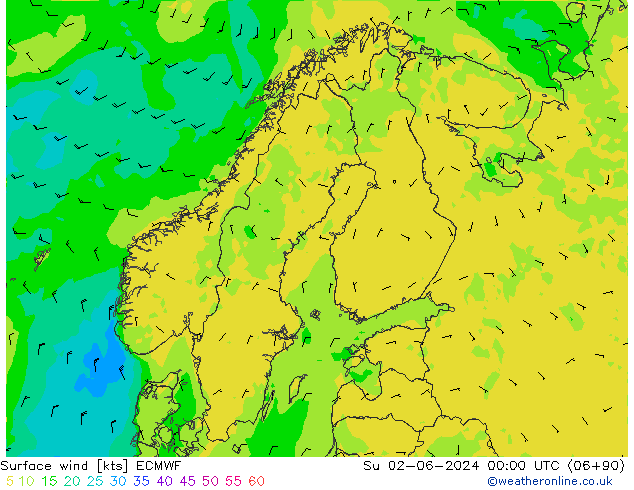 Surface wind ECMWF Su 02.06.2024 00 UTC