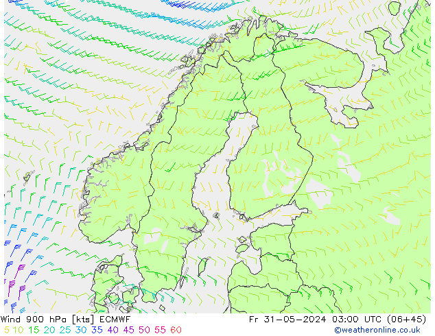 Rüzgar 900 hPa ECMWF Cu 31.05.2024 03 UTC