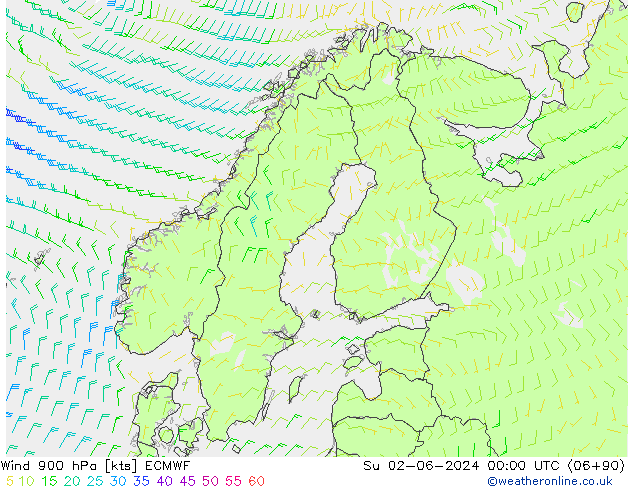 Viento 900 hPa ECMWF dom 02.06.2024 00 UTC