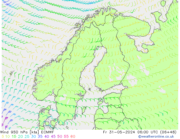 Wind 950 hPa ECMWF Fr 31.05.2024 06 UTC