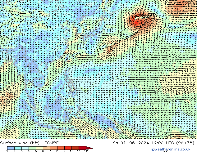 Bodenwind (bft) ECMWF Sa 01.06.2024 12 UTC