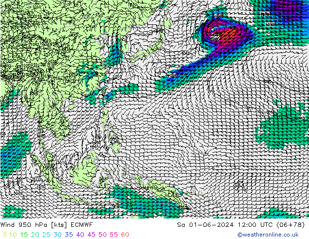 Vent 950 hPa ECMWF sam 01.06.2024 12 UTC