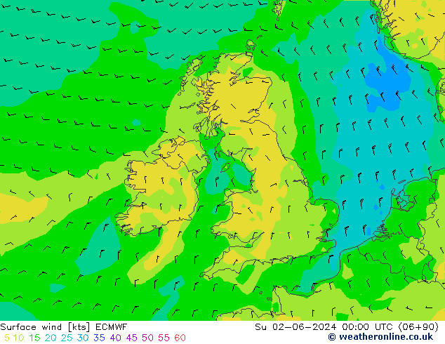 Surface wind ECMWF Su 02.06.2024 00 UTC