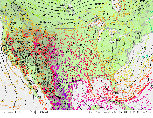 Theta-e 850hPa ECMWF sab 01.06.2024 06 UTC