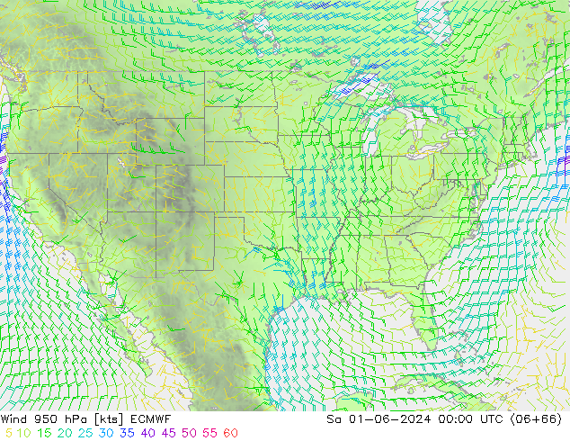 Wind 950 hPa ECMWF Sa 01.06.2024 00 UTC