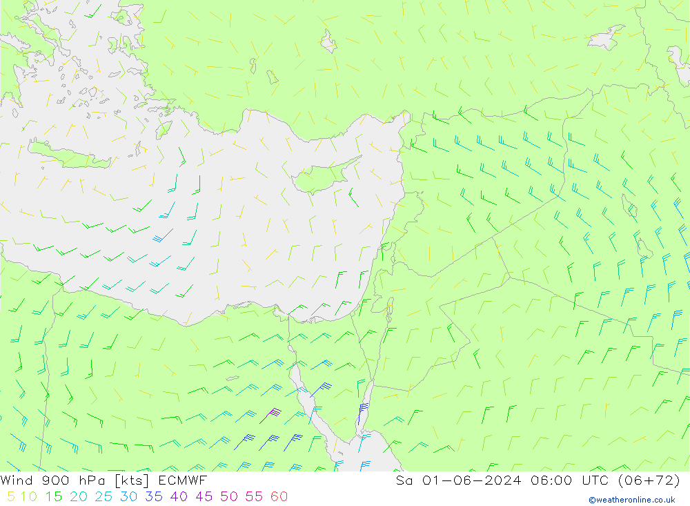 Wind 900 hPa ECMWF Sa 01.06.2024 06 UTC