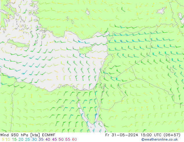 Wind 950 hPa ECMWF vr 31.05.2024 15 UTC