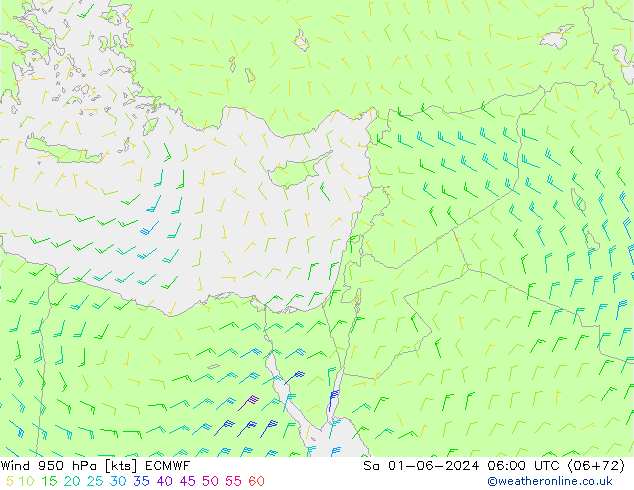 Rüzgar 950 hPa ECMWF Cts 01.06.2024 06 UTC