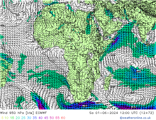 Viento 950 hPa ECMWF sáb 01.06.2024 12 UTC