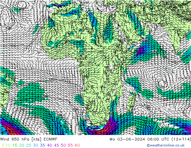 Rüzgar 950 hPa ECMWF Pzt 03.06.2024 06 UTC