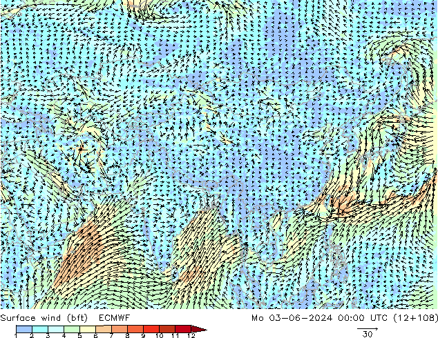 Surface wind (bft) ECMWF Mo 03.06.2024 00 UTC