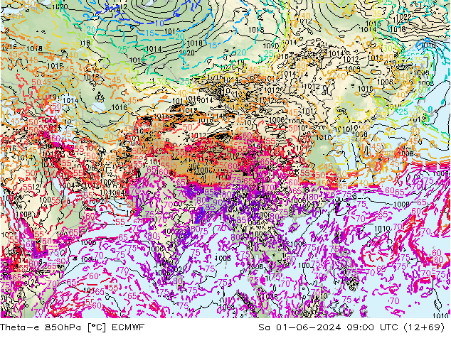 Theta-e 850гПа ECMWF сб 01.06.2024 09 UTC