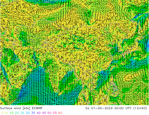 ветер 10 m ECMWF сб 01.06.2024 00 UTC