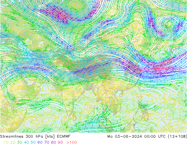 Streamlines 300 hPa ECMWF Mo 03.06.2024 00 UTC