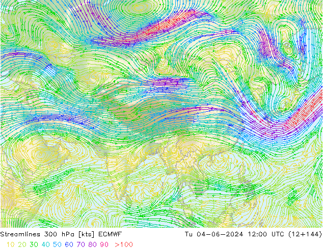  300 hPa ECMWF  04.06.2024 12 UTC