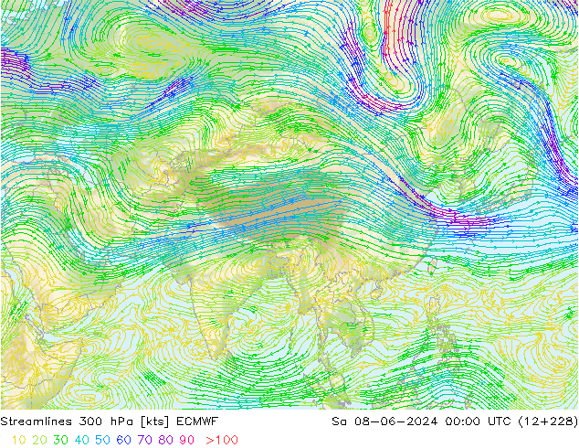 Rüzgar 300 hPa ECMWF Cts 08.06.2024 00 UTC