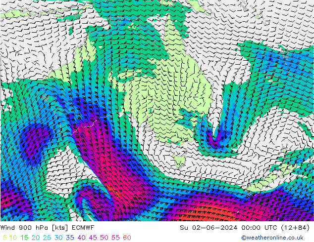 Wind 900 hPa ECMWF Su 02.06.2024 00 UTC