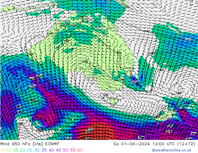 Wind 950 hPa ECMWF So 01.06.2024 12 UTC