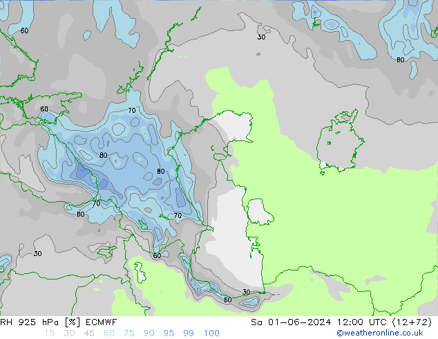 RH 925 hPa ECMWF  01.06.2024 12 UTC