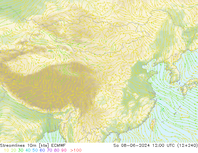 Streamlines 10m ECMWF Sa 08.06.2024 12 UTC