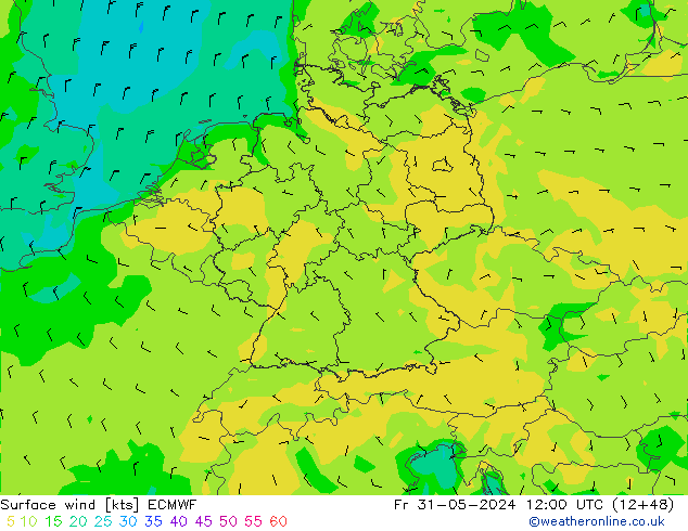 Surface wind ECMWF Pá 31.05.2024 12 UTC