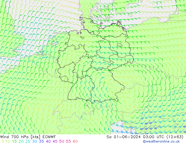 Vento 700 hPa ECMWF sab 01.06.2024 03 UTC