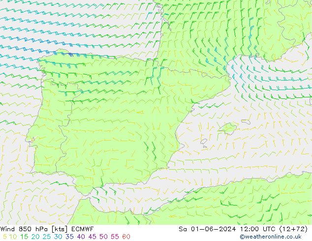 Wind 850 hPa ECMWF So 01.06.2024 12 UTC