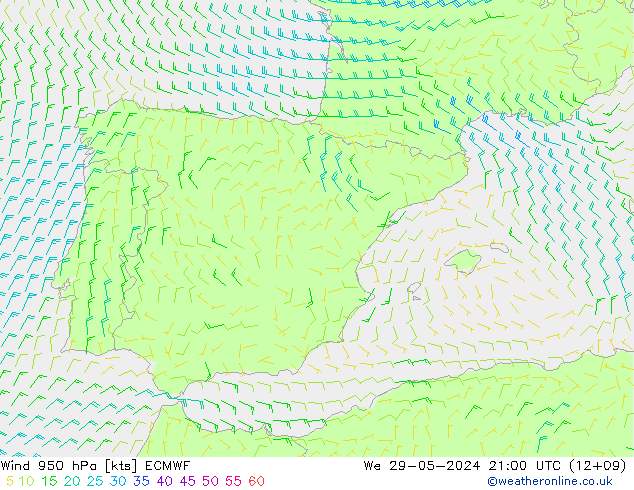 Rüzgar 950 hPa ECMWF Çar 29.05.2024 21 UTC