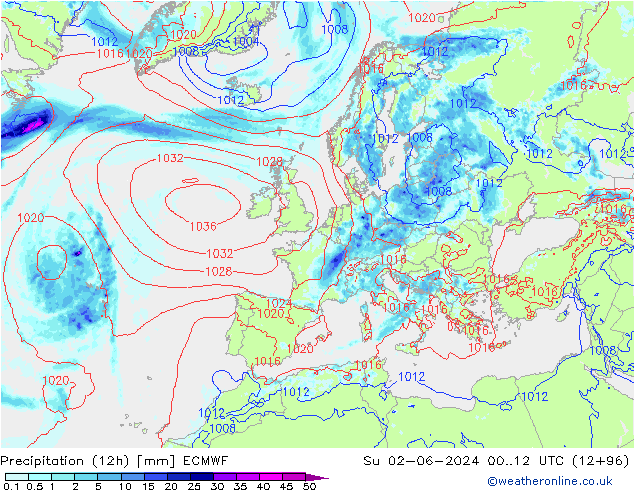 Precipitation (12h) ECMWF Su 02.06.2024 12 UTC