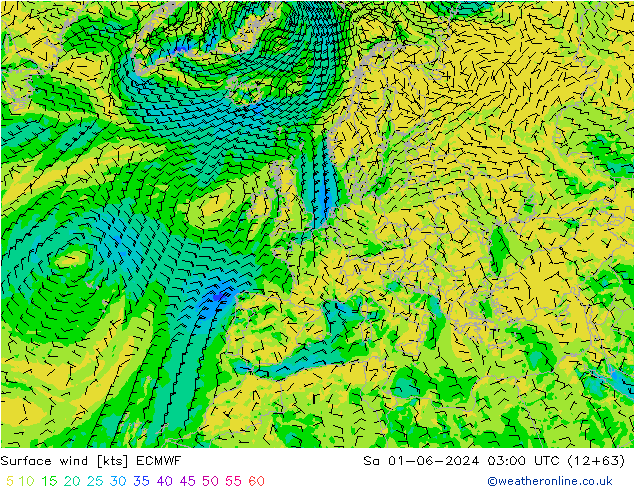 Surface wind ECMWF So 01.06.2024 03 UTC