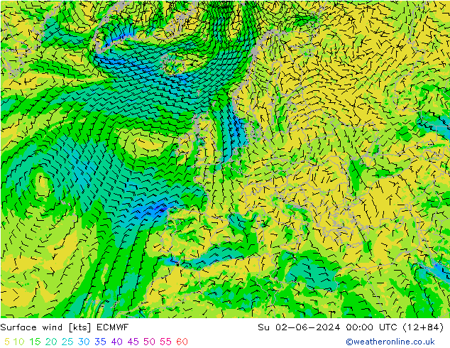 Vento 10 m ECMWF dom 02.06.2024 00 UTC