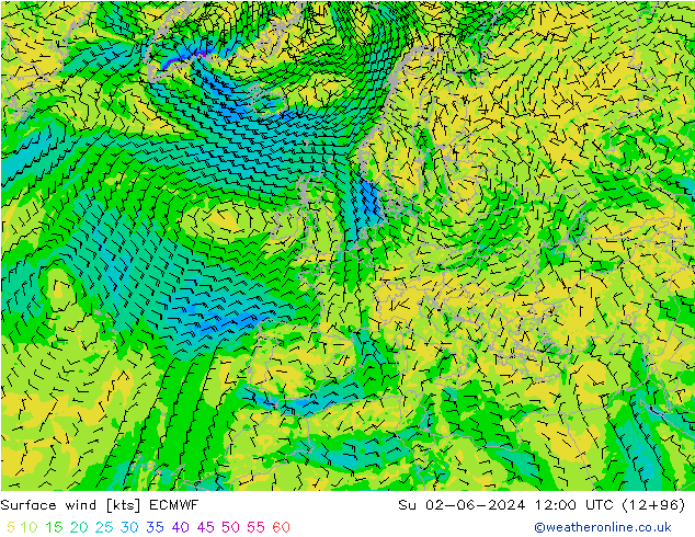 Bodenwind ECMWF So 02.06.2024 12 UTC