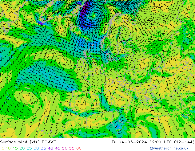 Surface wind ECMWF Tu 04.06.2024 12 UTC