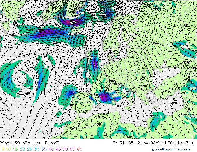 Wind 950 hPa ECMWF vr 31.05.2024 00 UTC