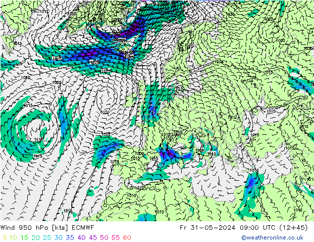 ветер 950 гПа ECMWF пт 31.05.2024 09 UTC