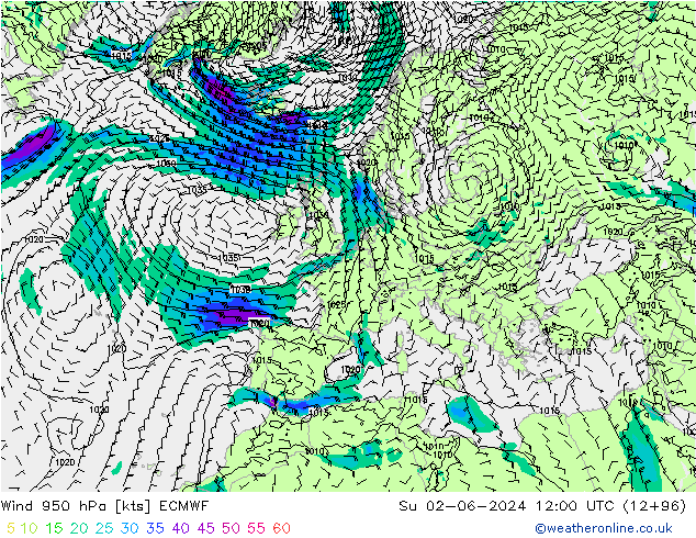 Wind 950 hPa ECMWF Ne 02.06.2024 12 UTC