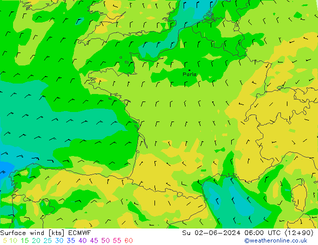 Surface wind ECMWF Su 02.06.2024 06 UTC