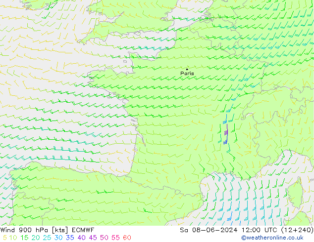 wiatr 900 hPa ECMWF so. 08.06.2024 12 UTC